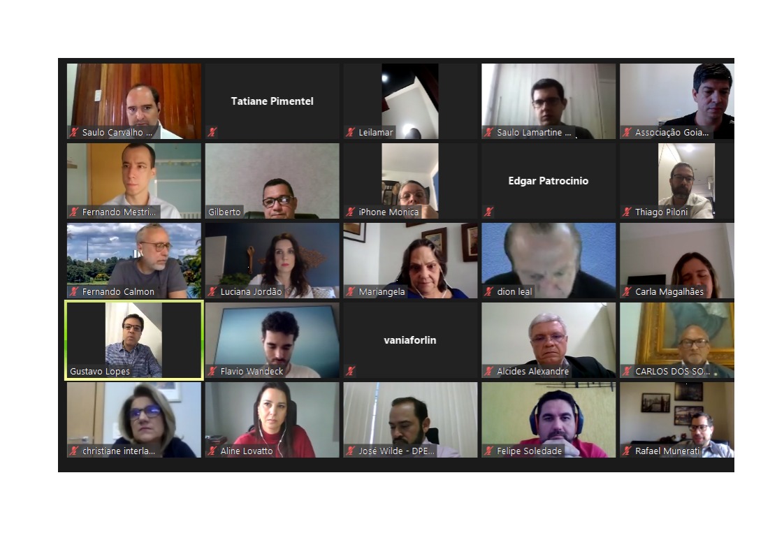 DPE-GO promove reunião do grupo nacional de defensores públicos com atuação nos Tribunais