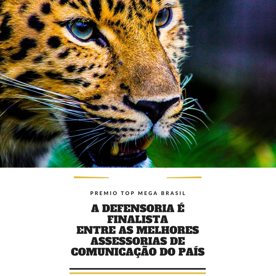 Defensoria do Ceará está entre as finalistas do prêmio nacional na categoria Comunicadores do Serviço Público