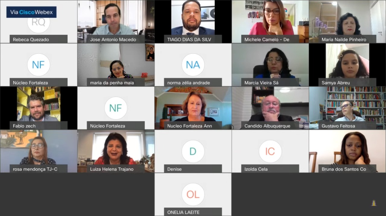 Defensoria participa de encontro virtual que discutiu medidas de combate à violência contra a mulher