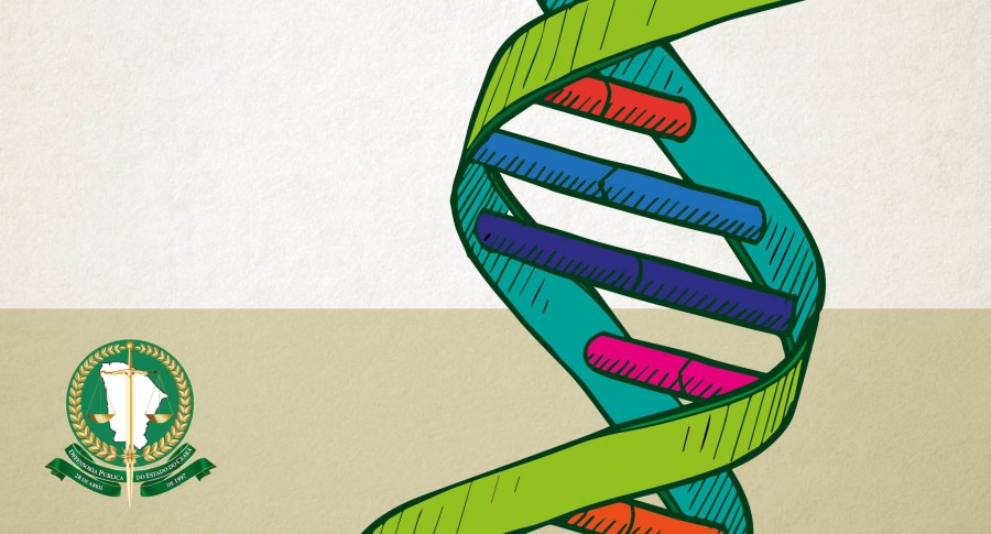 Defensoria acolhe casos de dúvida de paternidade; saiba quando e onde pedir exame de DNA