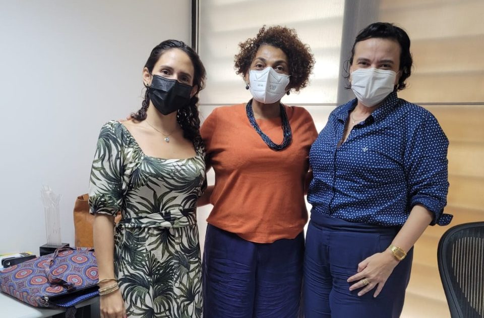 Reunião discute criação de agenda de capacitações sobre racismo e ações afirmativas