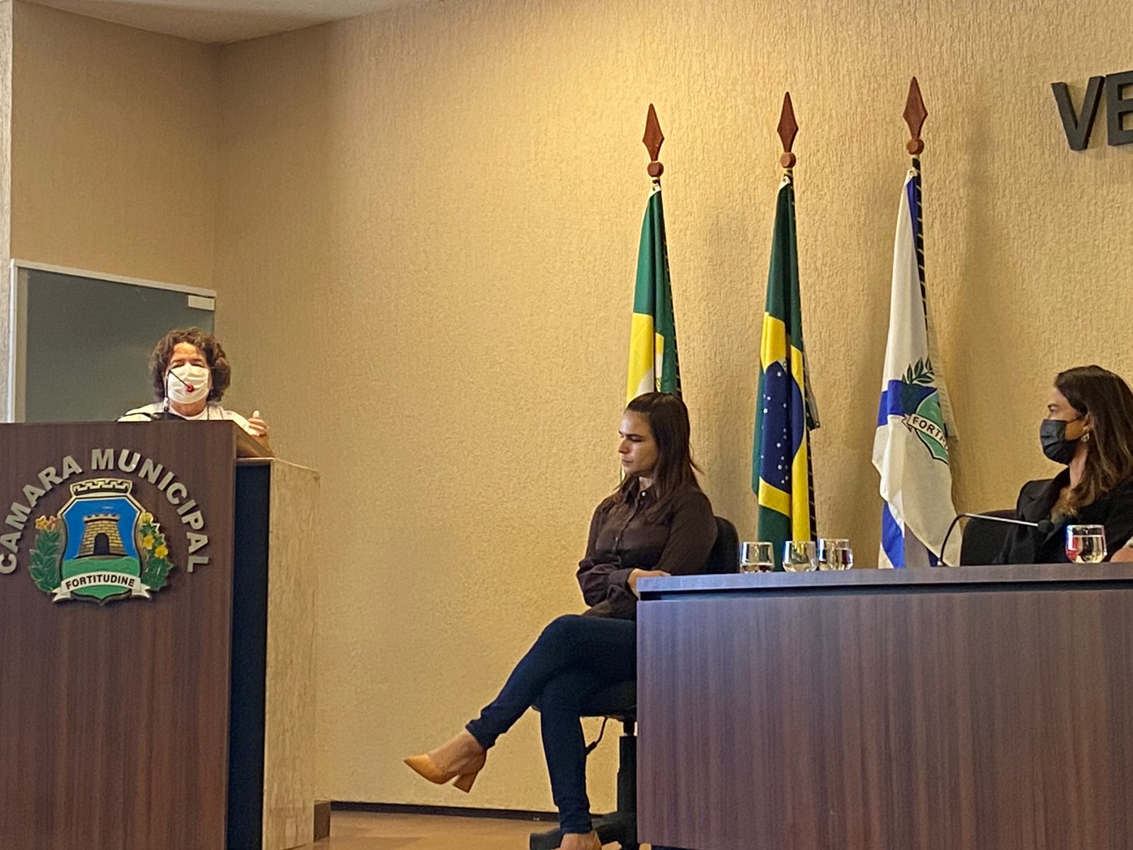 A orfandade de crianças e jovens decorrentes da Covid é tema de audiência pública na Câmara