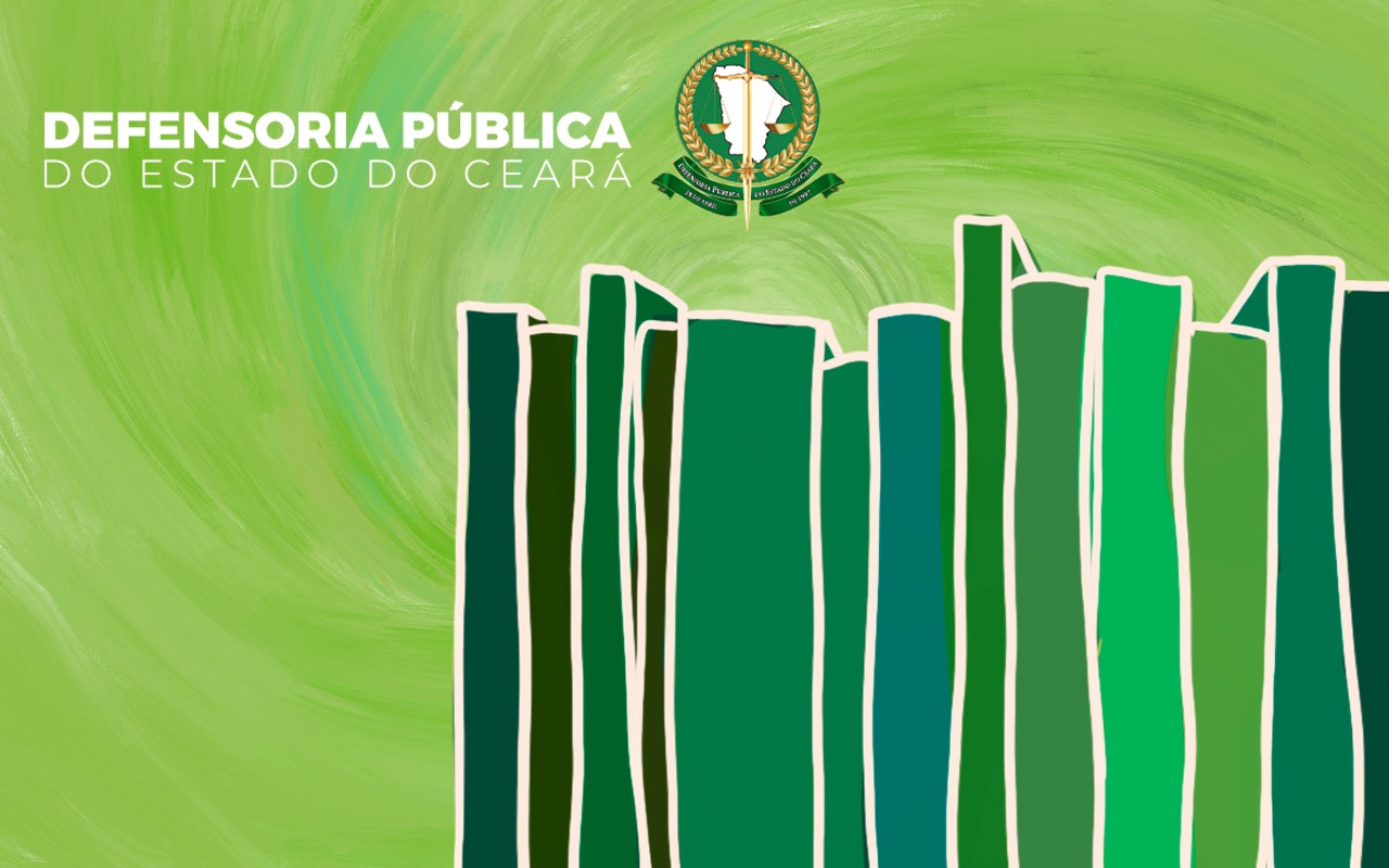 “Pela Dignidade”: Atuação da Defensoria em HC que determina o fim da superlotação no sistema socioeducativo é retratada em livro