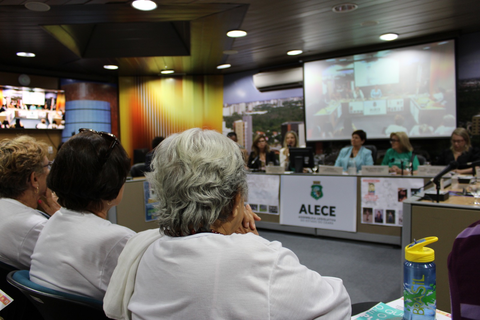 Audiência Pública discute políticas especializadas para familiares de pessoas desaparecidas