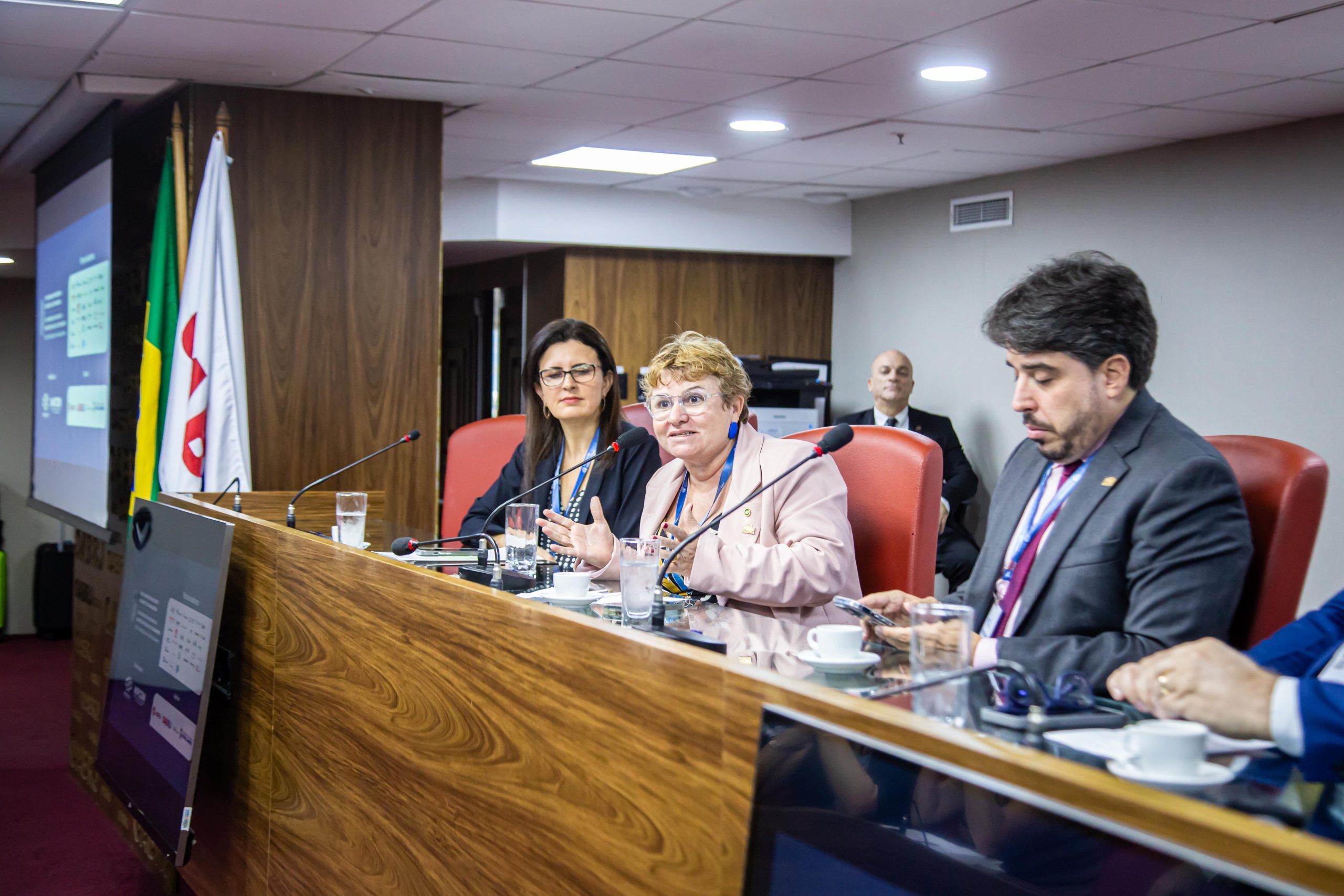 Defensora pública do Ceará é eleita presidente do Instituto Brasileiro de Política e Direito do Consumidor 