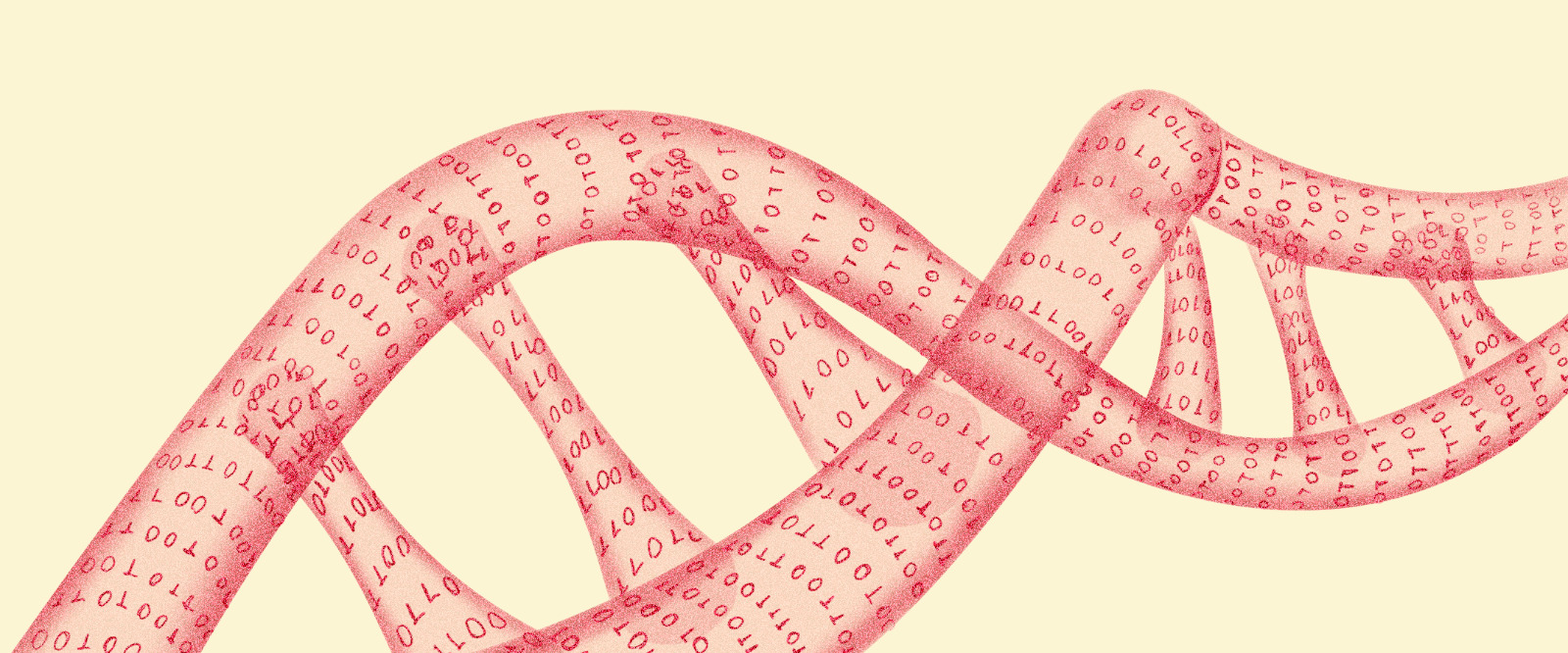 Conheça o fluxo para solicitação de exame de DNA